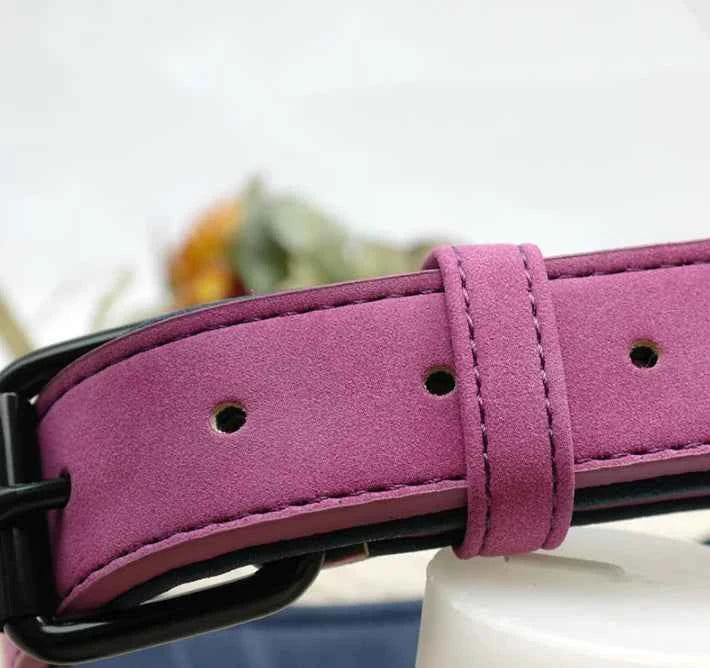Personalized Engraved Dog Collar with Bell for Pets
